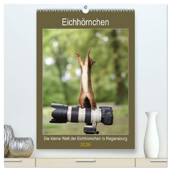 Die kleine Welt der Eichhörnchen in Regensburg (hochwertiger Premium Wandkalender 2026 DIN A2 hoch), Kunstdruck in Hochglanz