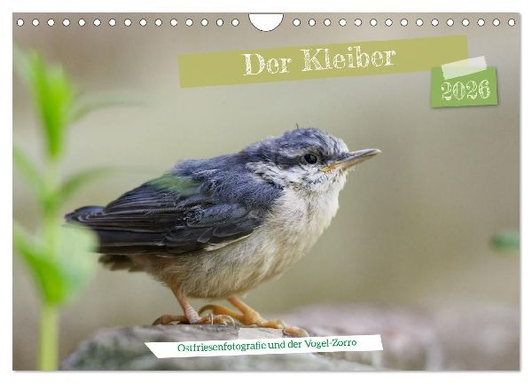 Der Kleiber - Ostfriesenfotografie und der Vogel-Zorro (Wandkalender 2026 DIN A4 quer), CALVENDO Monatskalender