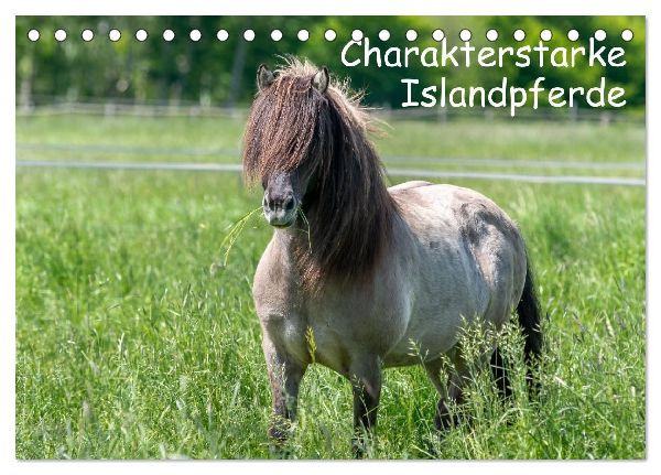 Charakterstarke Islandpferde (Tischkalender 2026 DIN A5 quer), CALVENDO Monatskalender