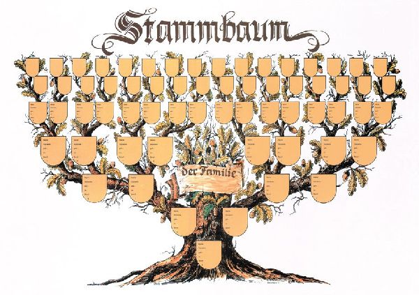 Stammbaum Schmuckbild