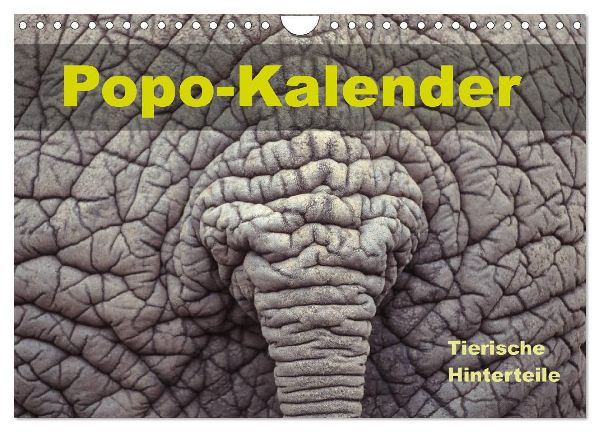 Popo-Kalender (Wandkalender 2026 DIN A4 quer), CALVENDO Monatskalender