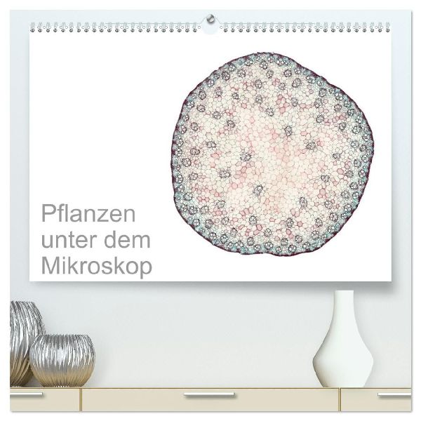 Pflanzen unter dem Mikroskop (hochwertiger Premium Wandkalender 2026 DIN A2 quer), Kunstdruck in Hochglanz