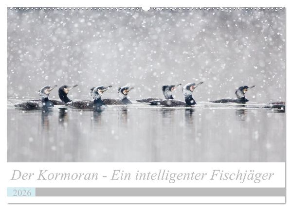 Der Kormoran - Ein intelligenter Fischjäger (Wandkalender 2026 DIN A2 quer), CALVENDO Monatskalender