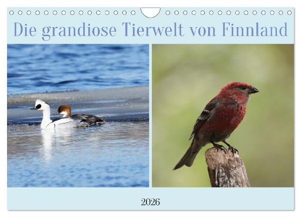 Die grandiose Tierwelt von Finnland (Wandkalender 2026 DIN A4 quer), CALVENDO Monatskalender