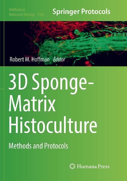 3D Sponge-Matrix Histoculture