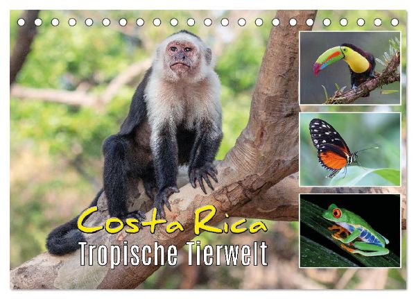 Costa Rica - Tropische Tierwelt (Tischkalender 2026 DIN A5 quer), CALVENDO Monatskalender