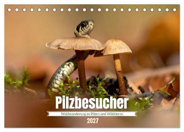 Pilzbesucher (Tischkalender 2027 DIN A5 quer), CALVENDO Monatskalender