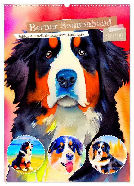 Berner Sennenhund 2026. Schöne Aquarelle der schweizer Hunderasse (Wandkalender 2026 DIN A2 hoch), CALVENDO Monatskalender