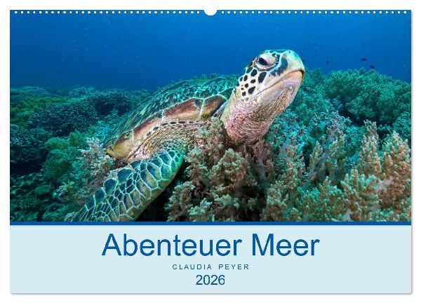 Abenteuer Unterwasser (Wandkalender 2026 DIN A2 quer), CALVENDO Monatskalender