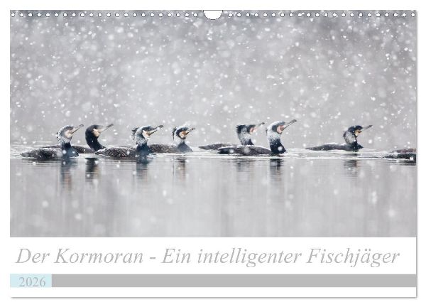 Der Kormoran - Ein intelligenter Fischjäger (Wandkalender 2026 DIN A3 quer), CALVENDO Monatskalender