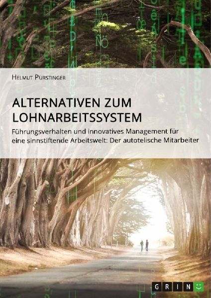 Alternativen zum Lohnarbeitssystem. Führungsverhalten und innovatives Management für eine sinnstiftende Arbeitswelt