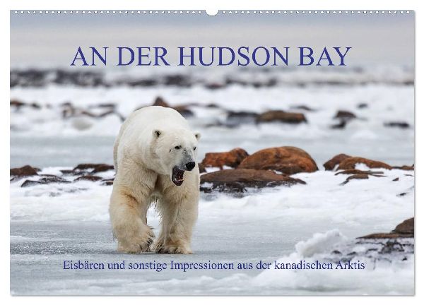 AN DER HUDSON BAY (Wandkalender 2026 DIN A2 quer), CALVENDO Monatskalender