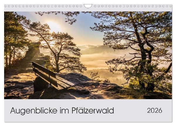 Augenblicke im Pfälzerwald (Wandkalender 2026 DIN A3 quer), CALVENDO Monatskalender