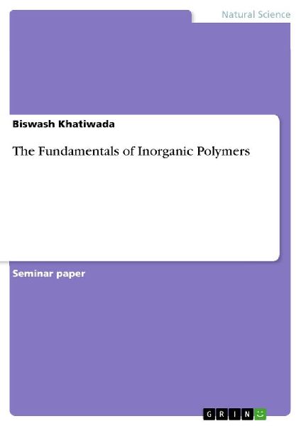 The Fundamentals of Inorganic Polymers