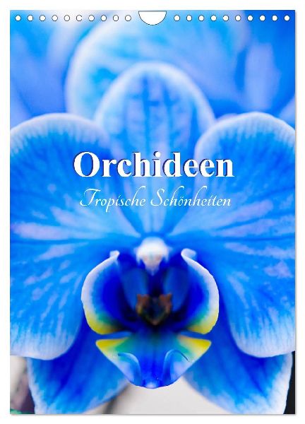 Orchideen - Tropische Schönheiten (Wandkalender 2026 DIN A4 hoch), CALVENDO Monatskalender