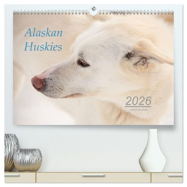 Alaskan Huskies (hochwertiger Premium Wandkalender 2026 DIN A2 quer), Kunstdruck in Hochglanz