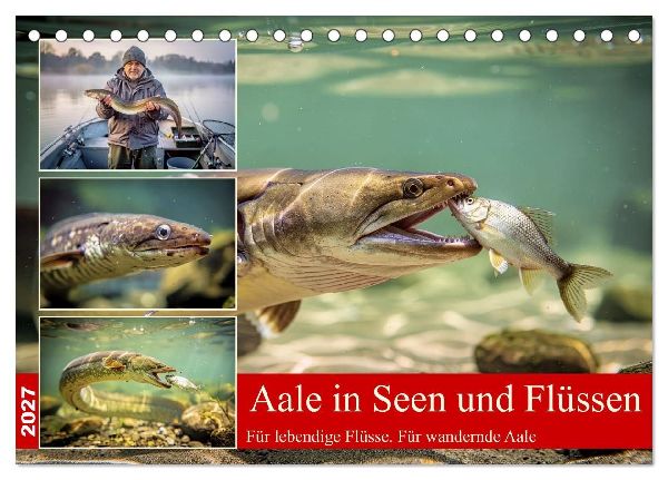 Aale in Seen und Flüssen (Tischkalender 2027 DIN A5 quer), CALVENDO Monatskalender