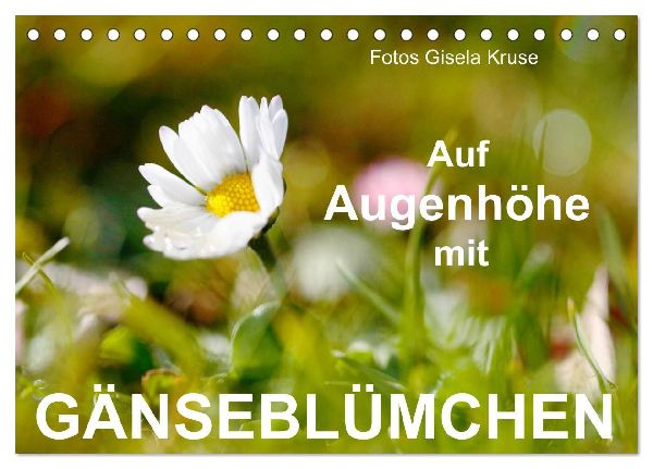 Auf Augenhöhe mit Gänseblümchen (Tischkalender 2026 DIN A5 quer), CALVENDO Monatskalender