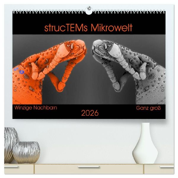 strucTEMs Mikrowelt - Winzige Nachbarn ganz groß (hochwertiger Premium Wandkalender 2026 DIN A2 quer), Kunstdruck in Hochglanz