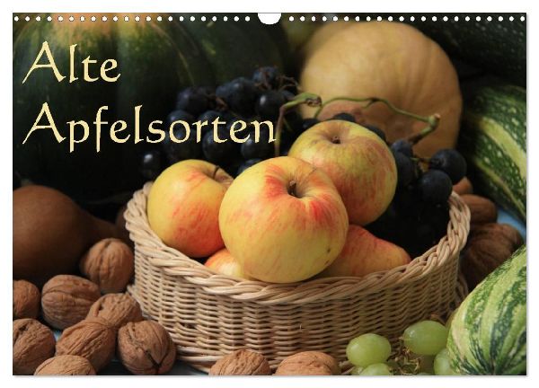 Alte Apfelsorten (Wandkalender 2026 DIN A3 quer), CALVENDO Monatskalender