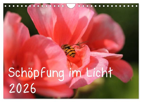 Schöpfung im Licht (Wandkalender 2026 DIN A4 quer), CALVENDO Monatskalender
