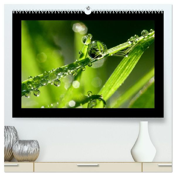 Meine kleine grüne Wassertropfen Welt (hochwertiger Premium Wandkalender 2026 DIN A2 quer), Kunstdruck in Hochglanz