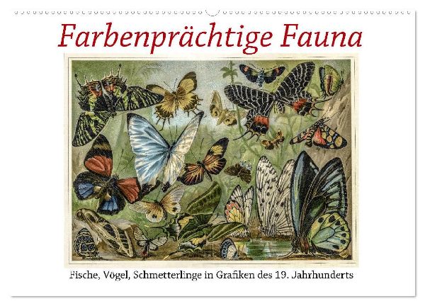 Farbenprächtige Fauna. Fische, Vögel, Schmetterlinge in Grafiken des 19 Jahrhunderts (Wandkalender 2026 DIN A2 quer), CALVENDO Monatskalender