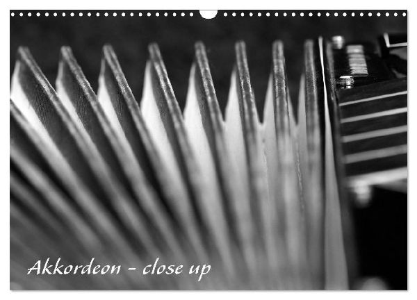 Akkordeon - close up (Wandkalender 2026 DIN A3 quer), CALVENDO Monatskalender