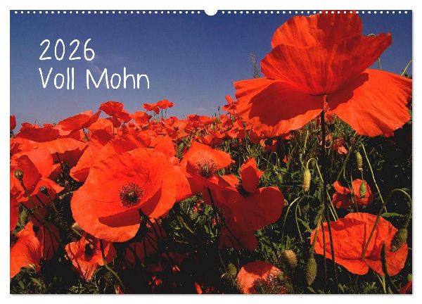 Voll Mohn (Wandkalender 2026 DIN A2 quer), CALVENDO Monatskalender