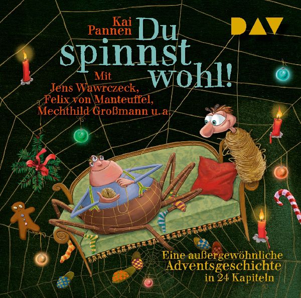 Du spinnst wohl! Eine außergewöhnliche Adventsgeschichte in 24 Kapiteln