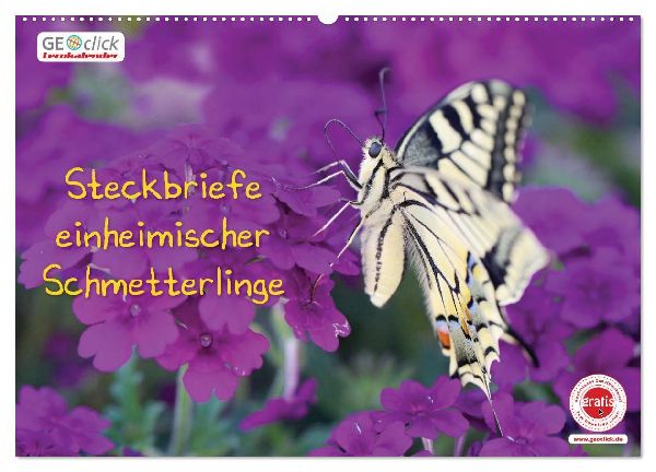 GEOclick Lernkalender: Steckbriefe einheimischer Schmetterlinge (Wandkalender 2026 DIN A2 quer), CALVENDO Monatskalender