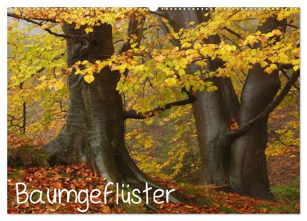 Baumgeflüster (Wandkalender 2026 DIN A2 quer), CALVENDO Monatskalender