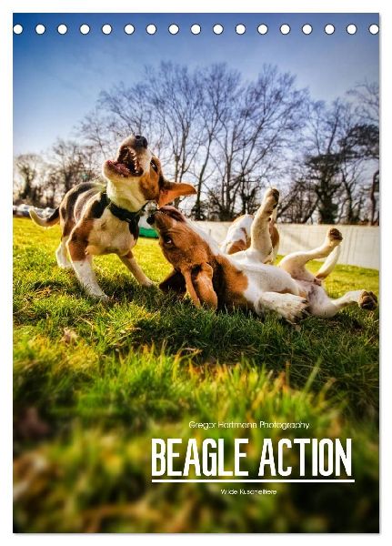 Beagle Action - Wilde Kuscheltiere (Tischkalender 2026 DIN A5 hoch), CALVENDO Monatskalender
