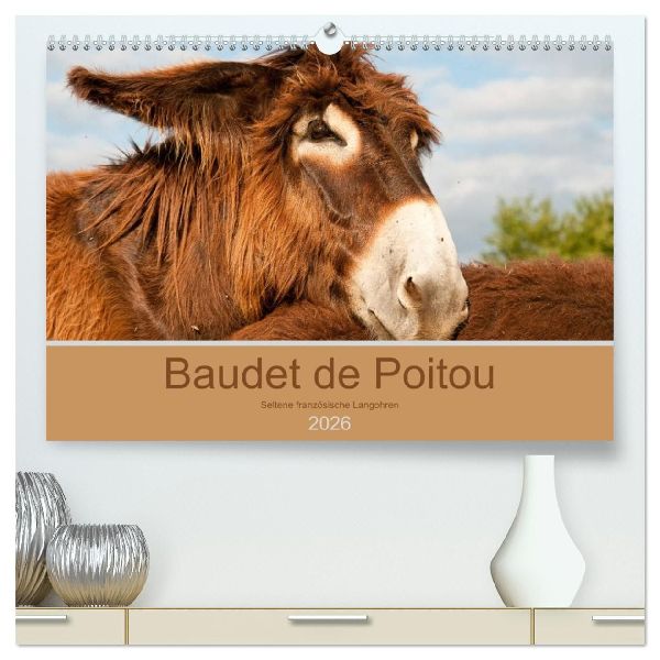 Baudet de Poitou - Seltene französische Langohren (hochwertiger Premium Wandkalender 2026 DIN A2 quer), Kunstdruck in Hochglanz