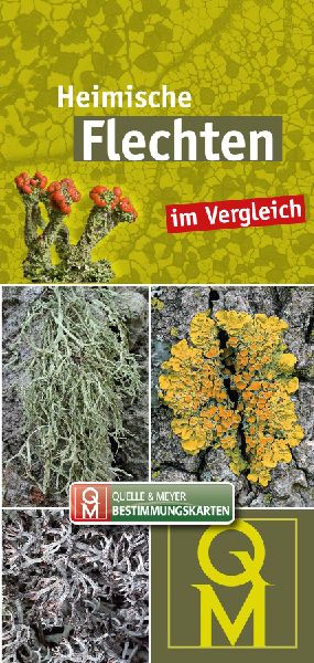Heimische Flechten