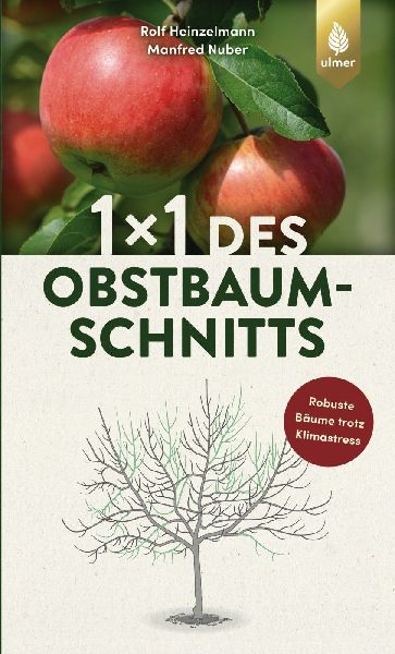 1 x 1 des Obstbaumschnitts