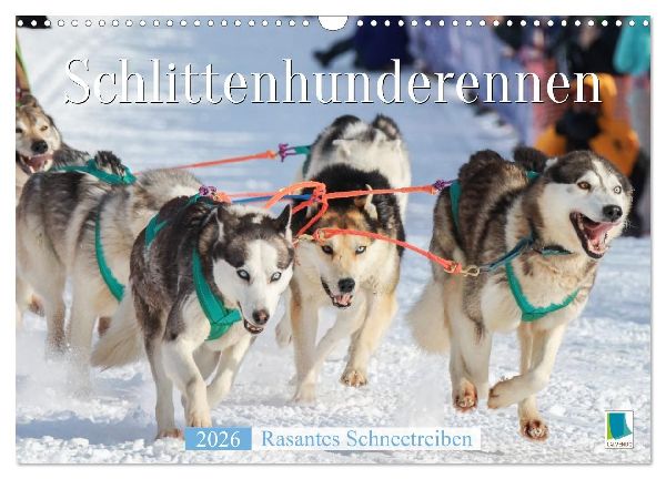 Schlittenhunderennen: Rasantes Schneetreiben (Wandkalender 2026 DIN A3 quer), CALVENDO Monatskalender