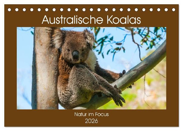 Australische Koalas (Tischkalender 2026 DIN A5 quer), CALVENDO Monatskalender