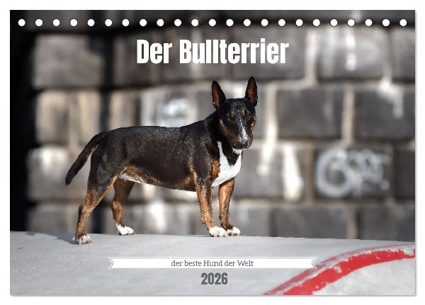 Der Bullterrier der beste Hund der Welt (Tischkalender 2026 DIN A5 quer), CALVENDO Monatskalender
