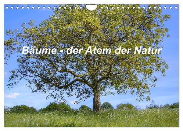 Bäume, der Atem der Natur (Wandkalender 2026 DIN A4 quer), CALVENDO Monatskalender