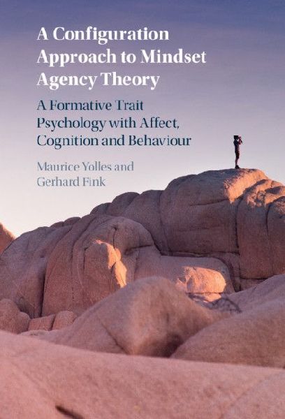 A Configuration Approach to Mindset Agency Theory