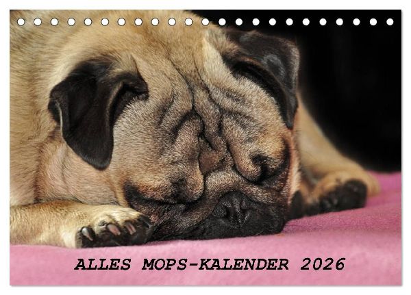 Alles Mops-Kalender 2026 (Tischkalender 2026 DIN A5 quer), CALVENDO Monatskalender