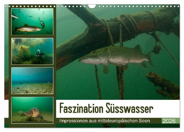 Faszination Süsswasser (Wandkalender 2026 DIN A3 quer), CALVENDO Monatskalender