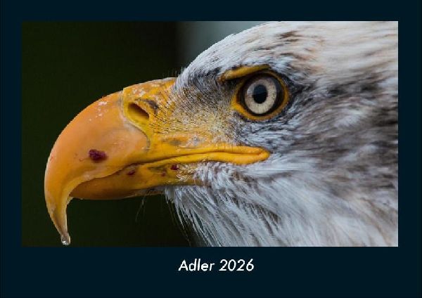 Adler 2026 Fotokalender DIN A4