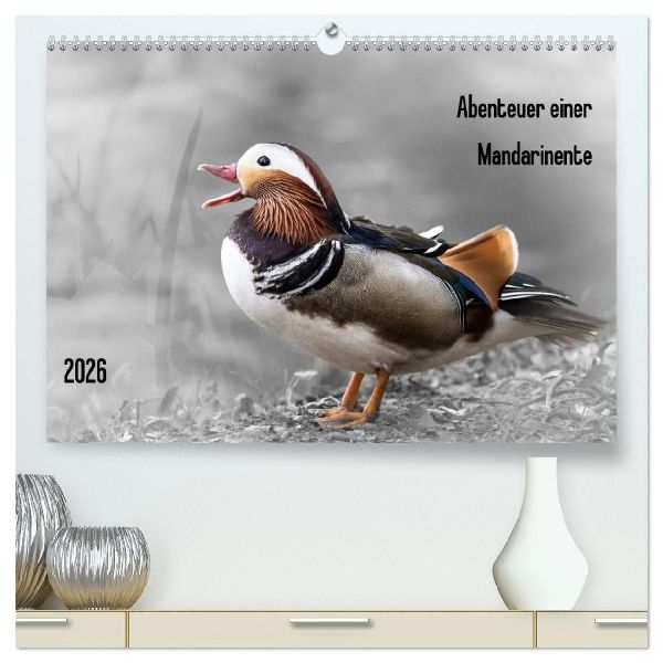 Abenteuer einer Mandarinente (hochwertiger Premium Wandkalender 2026 DIN A2 quer), Kunstdruck in Hochglanz