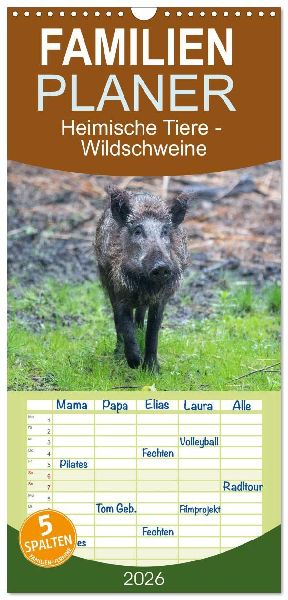 Familienplaner 2026 - Heimische Tiere - Wildschweine mit 5 Spalten (Wandkalender, 21 x 45 cm) CALVENDO