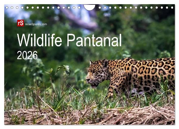 Wildlife Pantanal 2026 (Wandkalender 2026 DIN A4 quer), CALVENDO Monatskalender