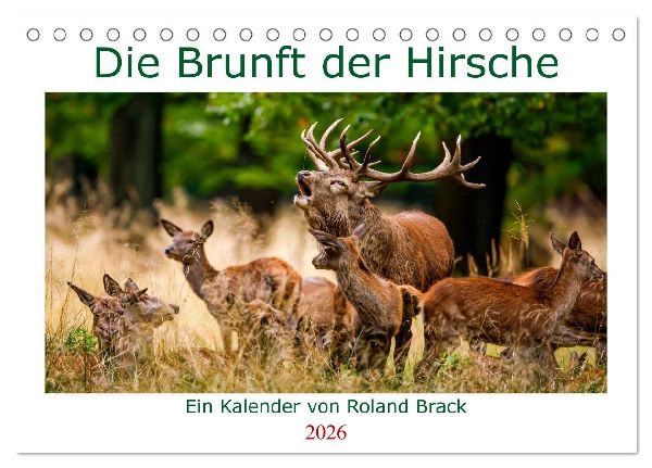 Die Brunft der Hirsche (Tischkalender 2026 DIN A5 quer), CALVENDO Monatskalender