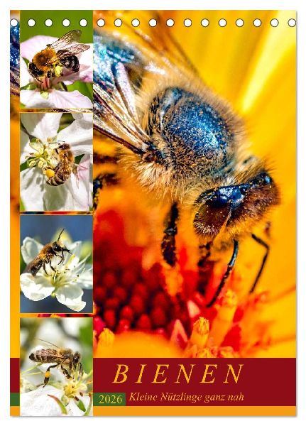 BIENEN - Kleine Nützlinge ganz nah (Tischkalender 2026 DIN A5 hoch), CALVENDO Monatskalender