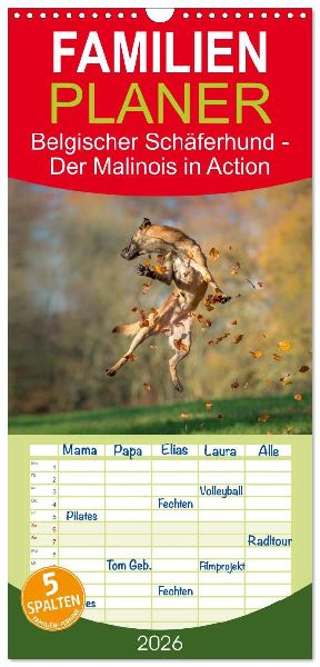 Familienplaner 2026 - Belgischer Schäferhund - Der Malinois in Action mit 5 Spalten (Wandkalender, 21 x 45 cm) CALVENDO